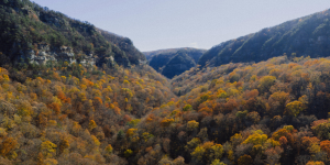Georgia